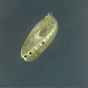Gold Dipped Clam/Abalone Seashell Pendant